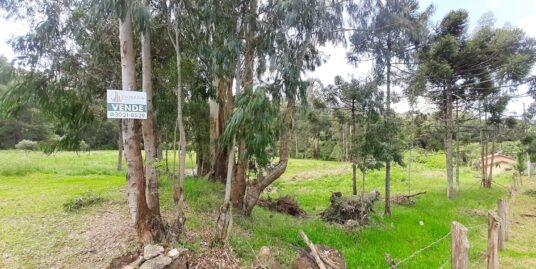 Terreno no Bairro São Paulo