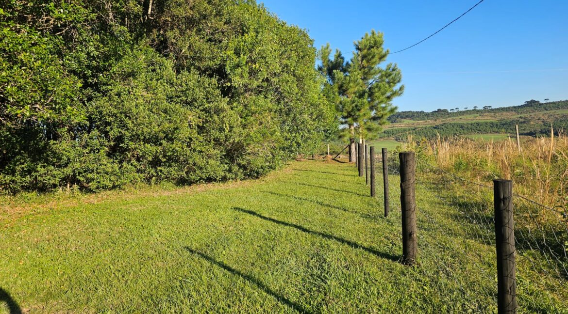 WhatsApp Image 2025-09-01 at 10.45.22