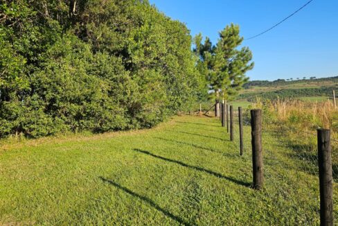 WhatsApp Image 2025-09-01 at 10.45.22