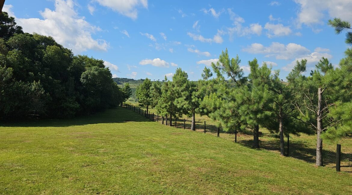 WhatsApp Image 2025-09-01 at 10.45.24 (2)