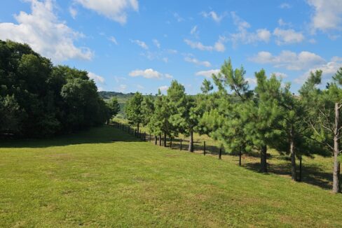 WhatsApp Image 2025-09-01 at 10.45.24 (2)