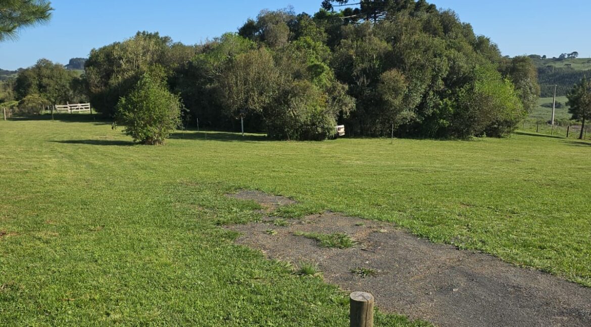 WhatsApp Image 2025-09-01 at 10.45.25