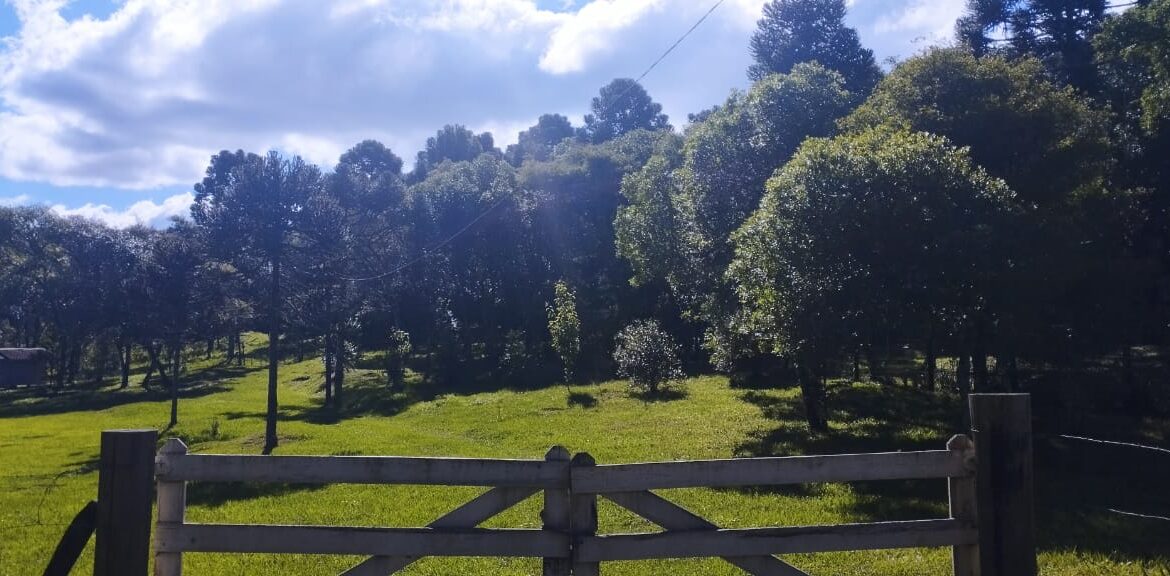 WhatsApp Image 2025-12-18 at 16.25.18 (1)