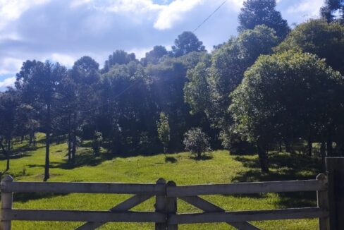 WhatsApp Image 2025-12-18 at 16.25.18 (1)