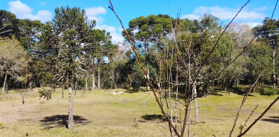 WhatsApp Image 2025-12-18 at 16.25.18