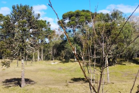 WhatsApp Image 2025-12-18 at 16.25.18