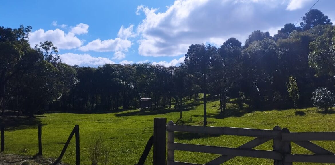 WhatsApp Image 2025-12-18 at 16.25.19 (1)