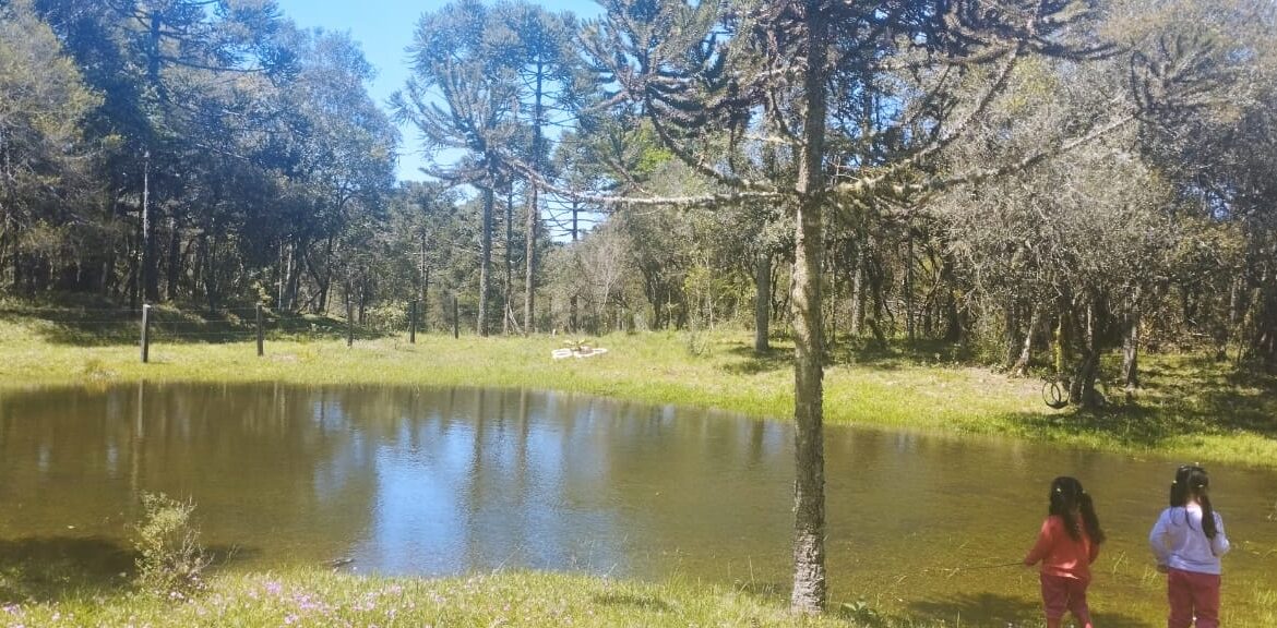 WhatsApp Image 2025-12-18 at 16.25.20 (1)