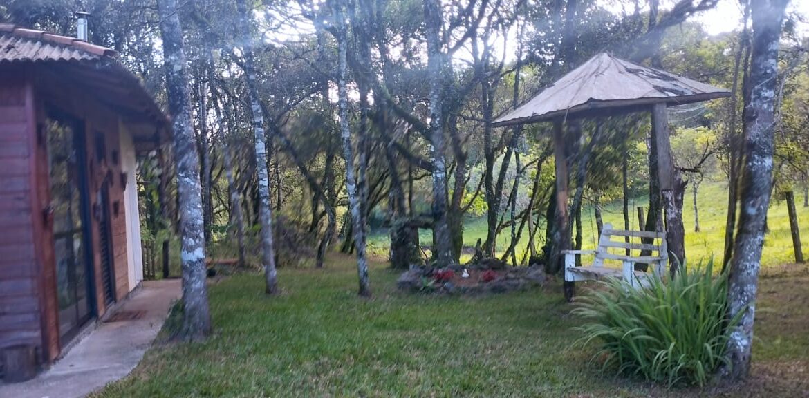 WhatsApp Image 2025-12-18 at 16.25.20 (2)