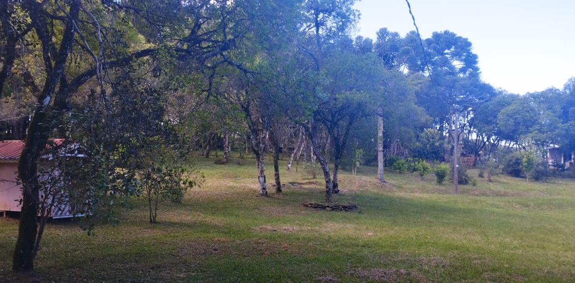 WhatsApp Image 2025-12-18 at 16.25.20 (3)