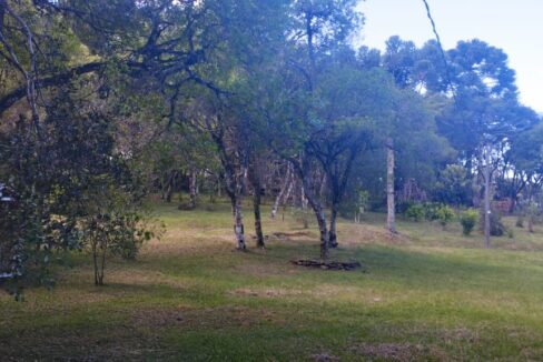 WhatsApp Image 2025-12-18 at 16.25.20 (3)