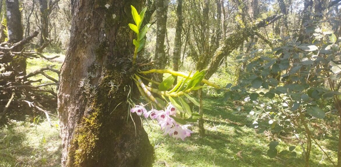 WhatsApp Image 2025-12-18 at 16.25.21 (1)