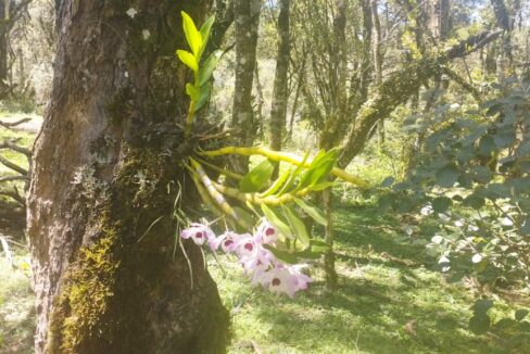 WhatsApp Image 2025-12-18 at 16.25.21 (1)