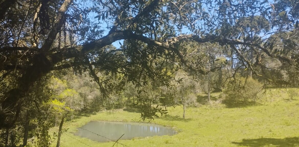 WhatsApp Image 2025-12-18 at 16.25.21