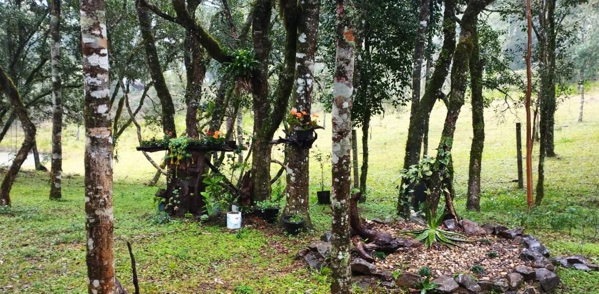 WhatsApp Image 2025-12-18 at 16.25.21 (2)