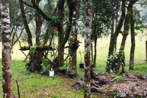 WhatsApp Image 2025-12-18 at 16.25.21 (2)