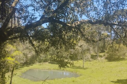 WhatsApp Image 2025-12-18 at 16.25.21