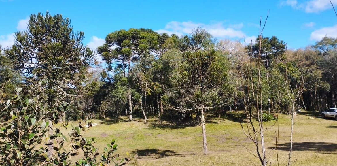 WhatsApp Image 2025-12-18 at 16.25.22 (1)