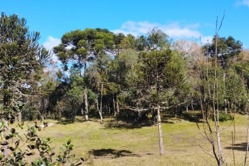 WhatsApp Image 2025-12-18 at 16.25.22 (1)