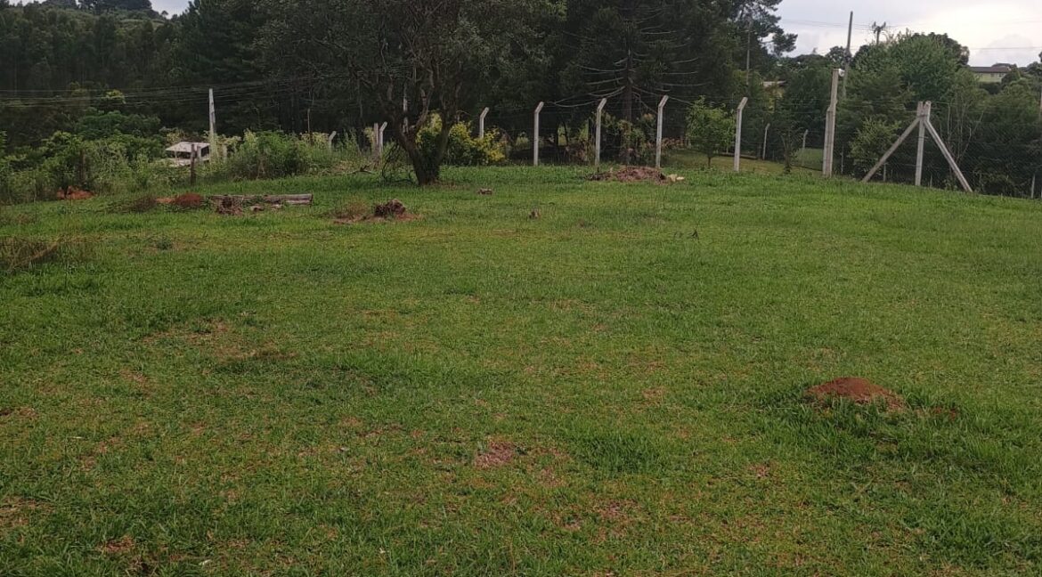 WhatsApp Image 2025-12-18 at 16.40.49