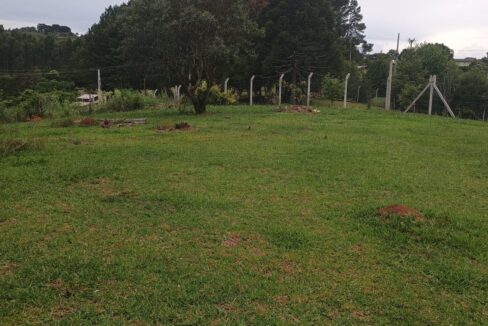 WhatsApp Image 2025-12-18 at 16.40.49