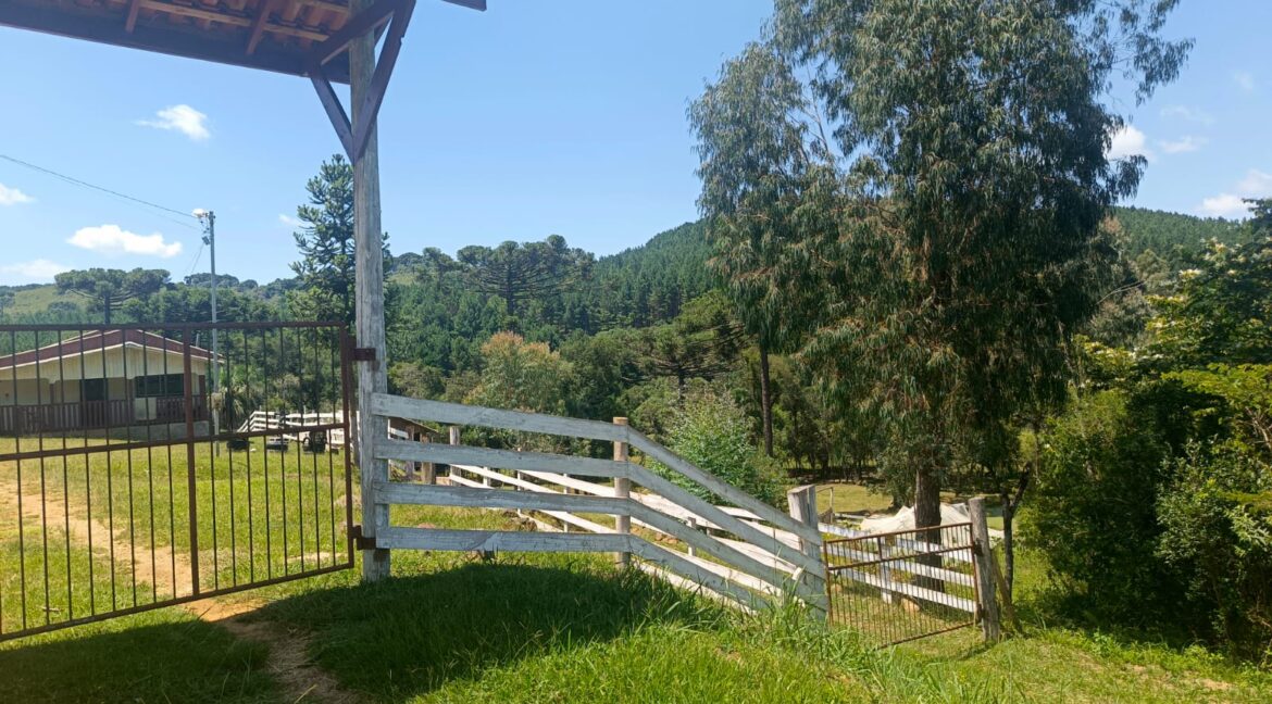 WhatsApp Image 2026-01-23 at 11.53.09