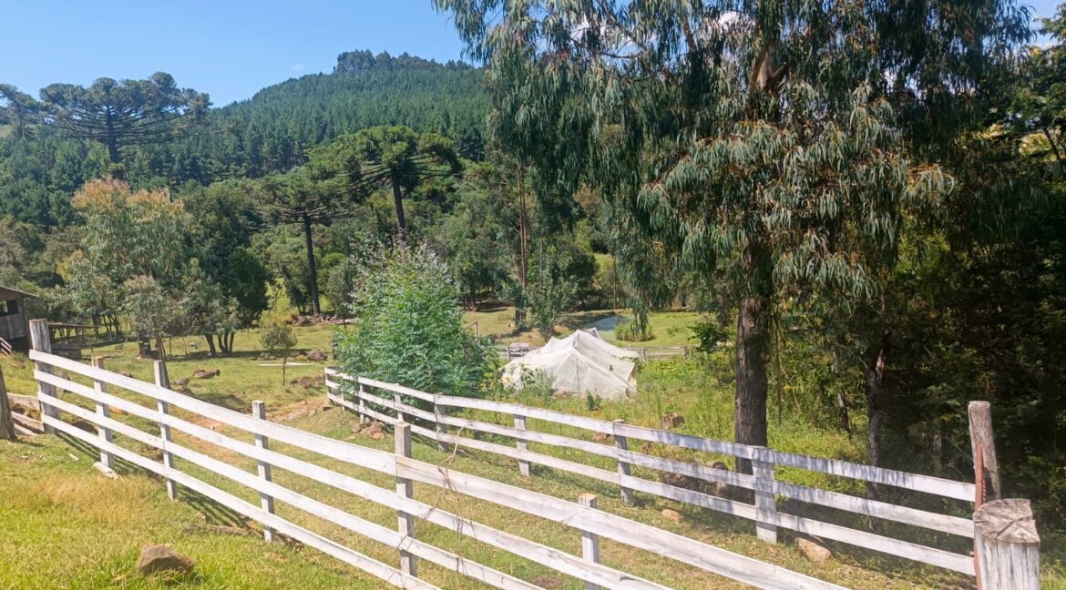 WhatsApp Image 2026-01-23 at 11.53.09 (4)