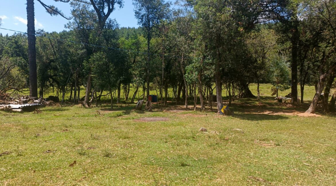 WhatsApp Image 2026-01-23 at 11.53.10 (1)