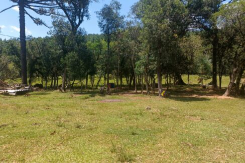 WhatsApp Image 2026-01-23 at 11.53.10 (1)