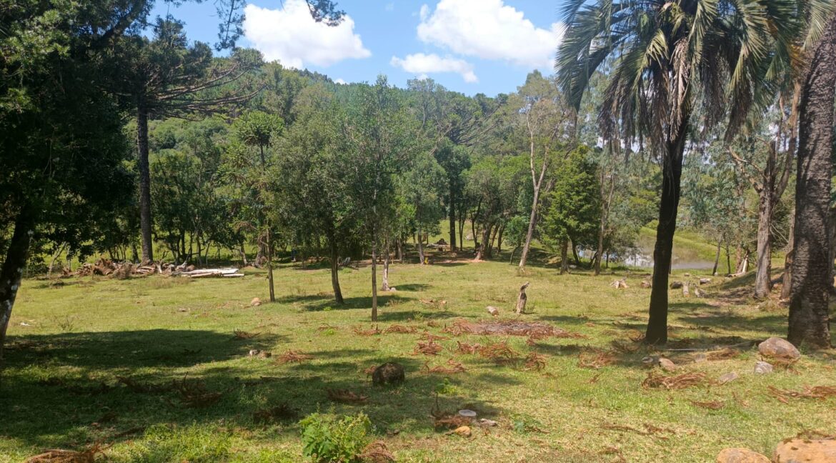 WhatsApp Image 2026-01-23 at 11.53.10