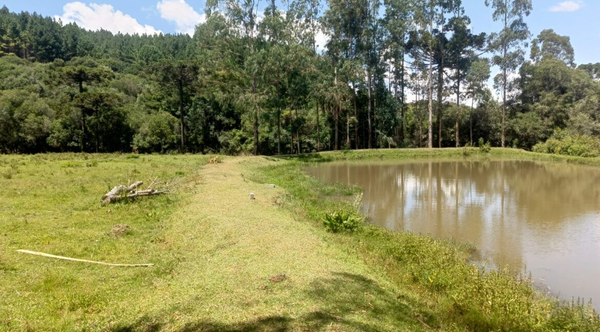 WhatsApp Image 2026-01-23 at 11.53.10 (2)