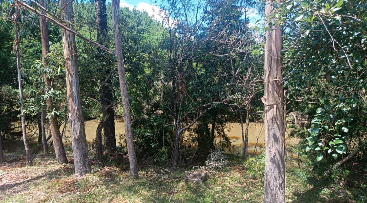 WhatsApp Image 2026-01-23 at 11.53.10 (3)