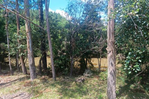 WhatsApp Image 2026-01-23 at 11.53.10 (3)