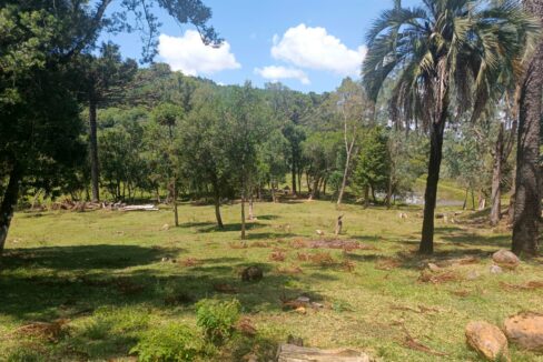 WhatsApp Image 2026-01-23 at 11.53.10