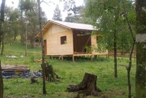 WhatsApp Image 2026-01-23 at 11.55.09