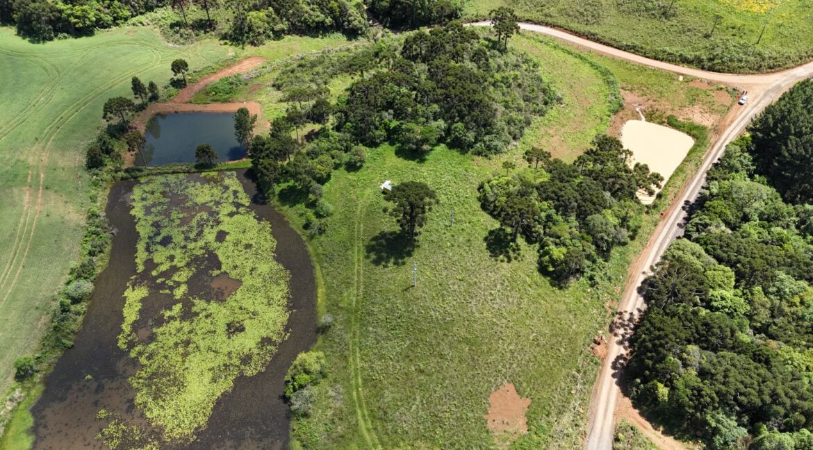 WhatsApp Image 2026-02-09 at 16.56.33 (1)