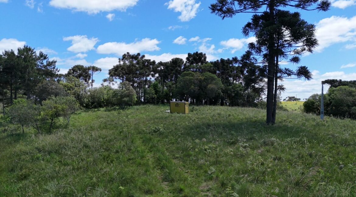 WhatsApp Image 2026-02-09 at 16.56.33