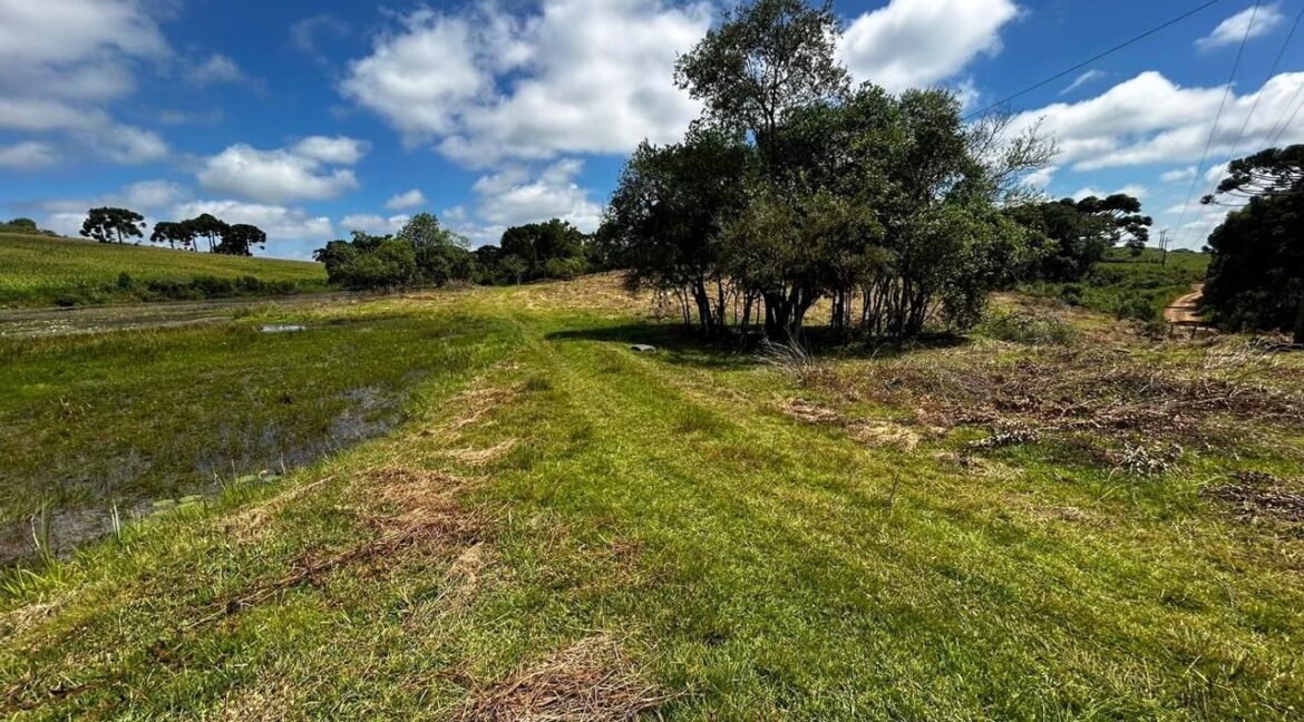 WhatsApp Image 2026-02-09 at 16.56.33 (2)