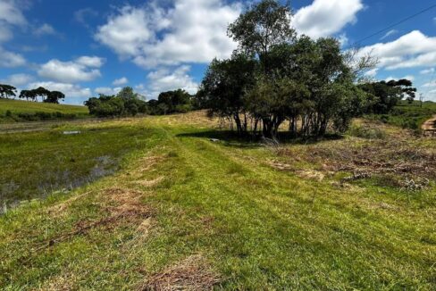 WhatsApp Image 2026-02-09 at 16.56.33 (2)