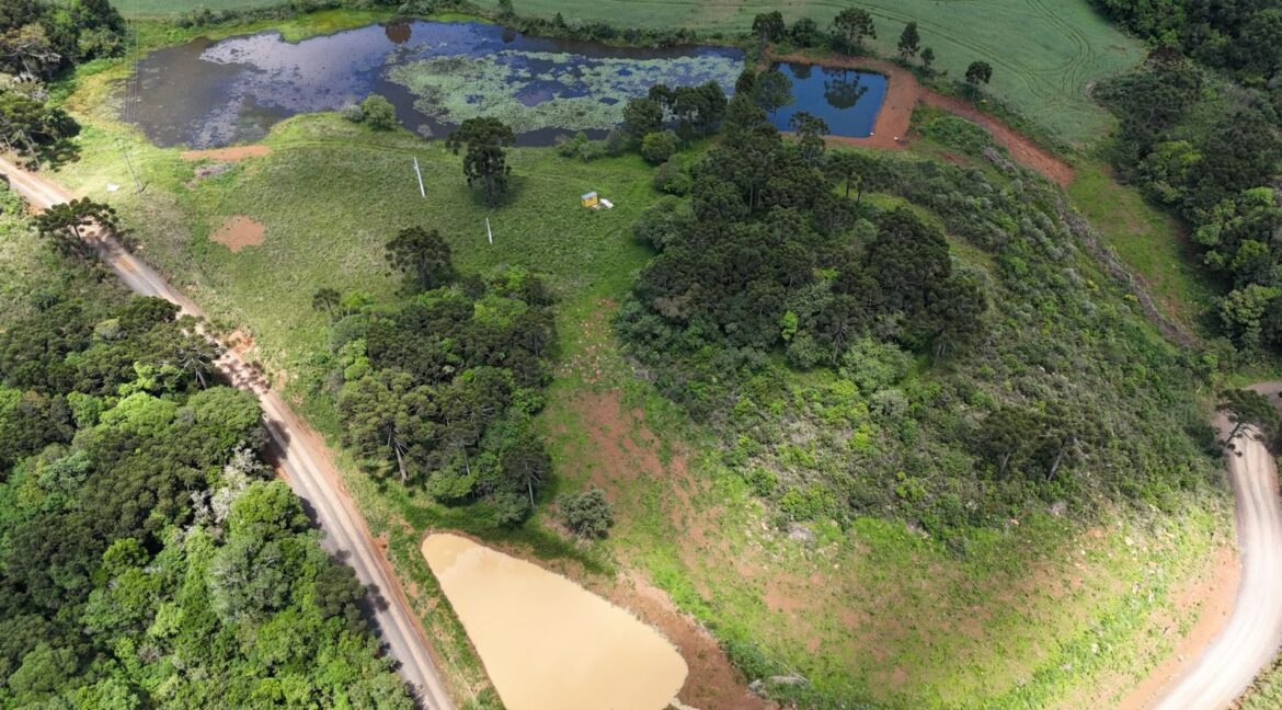 WhatsApp Image 2026-02-09 at 16.56.33 (3)