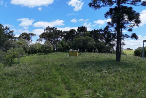 WhatsApp Image 2026-02-09 at 16.56.33