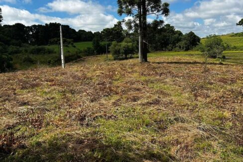 WhatsApp Image 2026-02-09 at 16.56.34 (1)