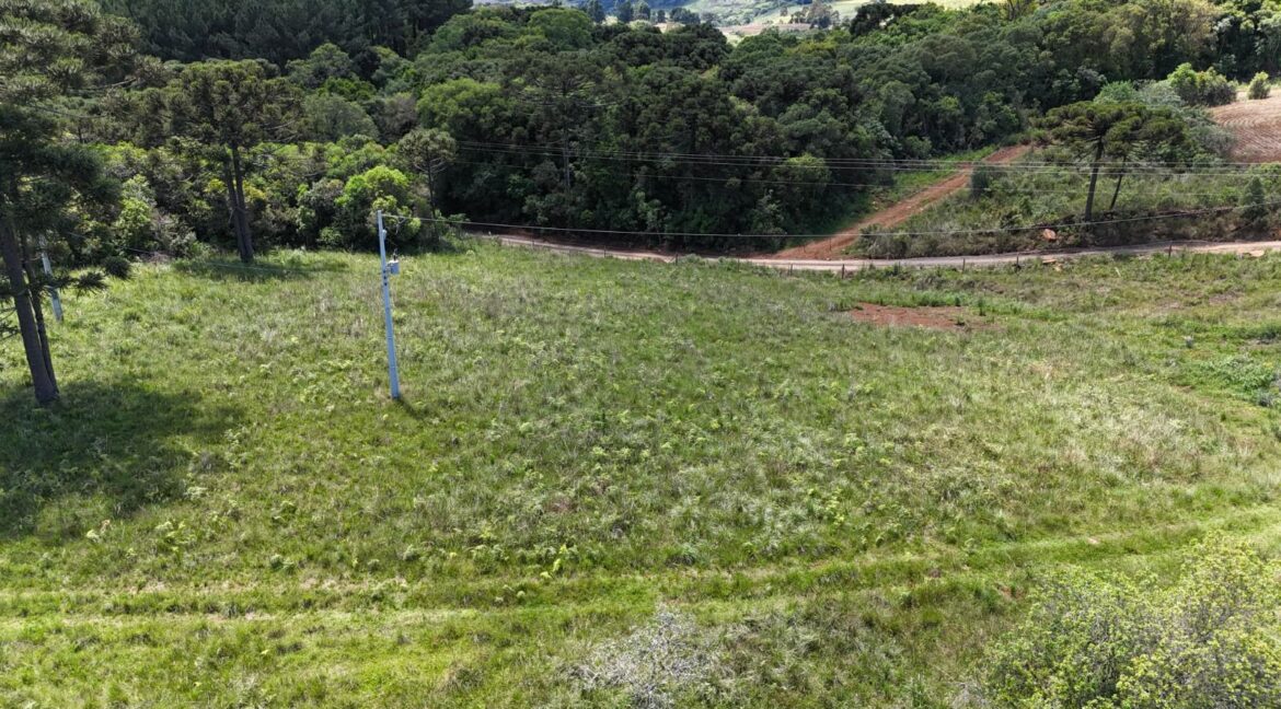 WhatsApp Image 2026-02-09 at 16.56.34