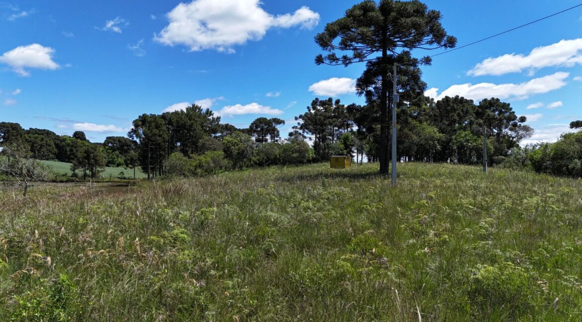 WhatsApp Image 2026-02-09 at 16.56.34 (2)