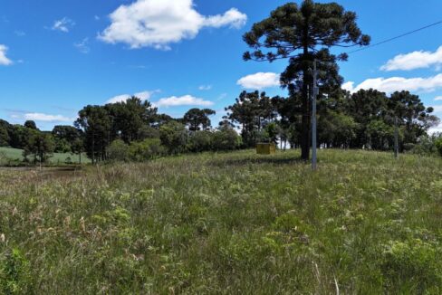 WhatsApp Image 2026-02-09 at 16.56.34 (2)