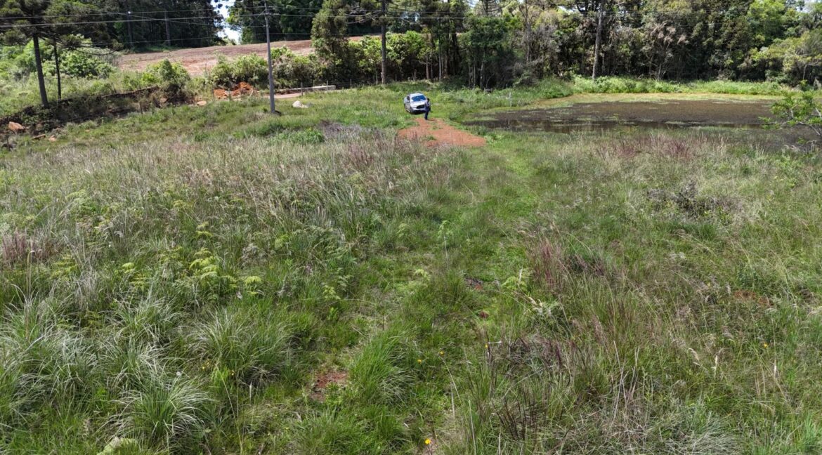 WhatsApp Image 2026-02-09 at 16.56.35 (1)