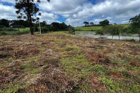 WhatsApp Image 2026-02-09 at 16.56.35 (4)