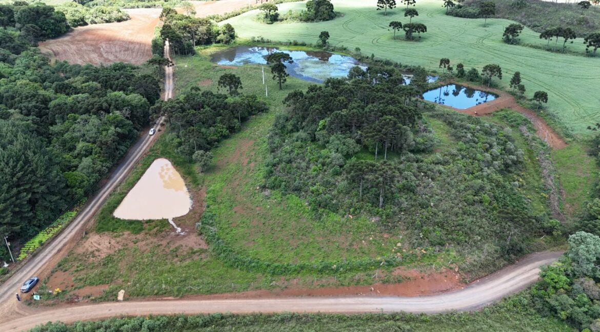 WhatsApp Image 2026-02-09 at 16.56.36 (1)