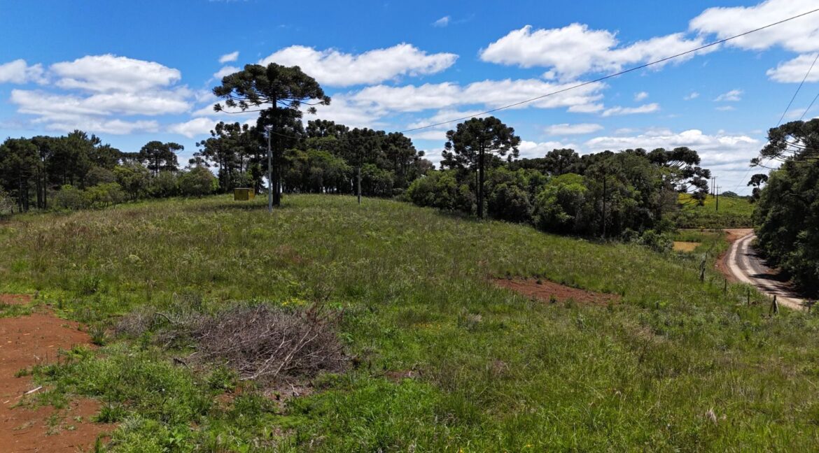 WhatsApp Image 2026-02-09 at 16.56.36