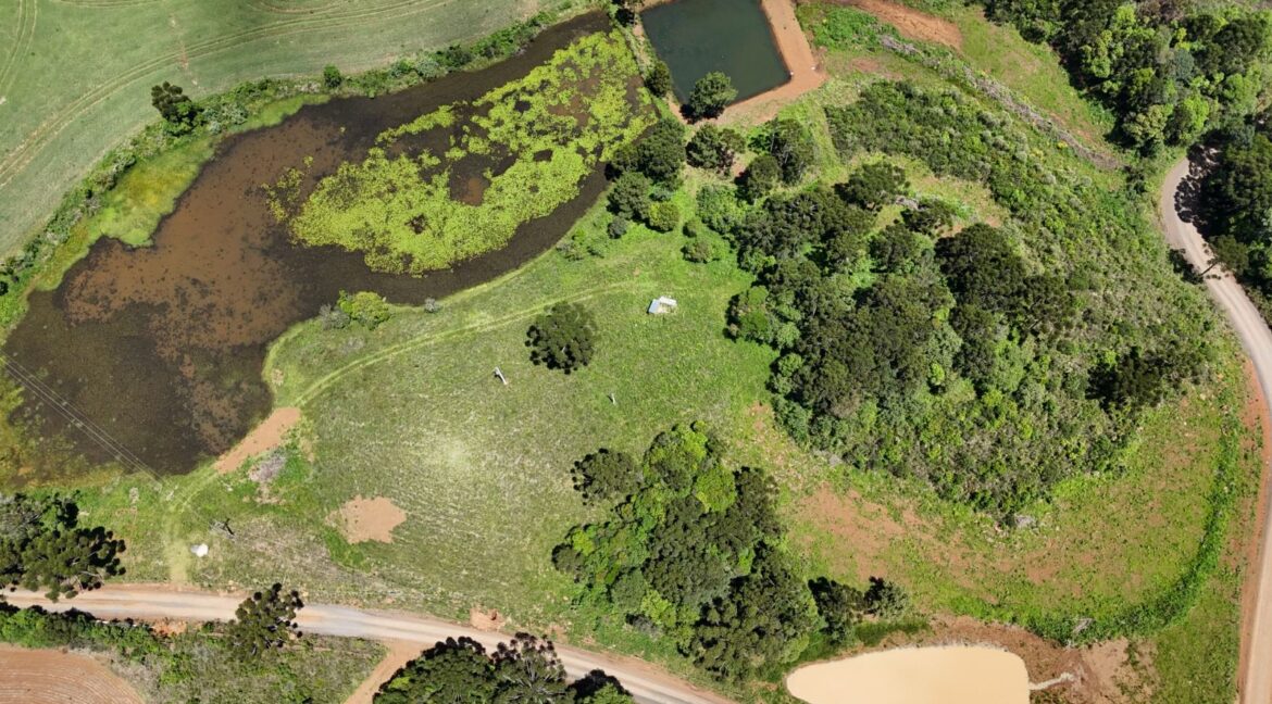 WhatsApp Image 2026-02-09 at 16.56.36 (3)